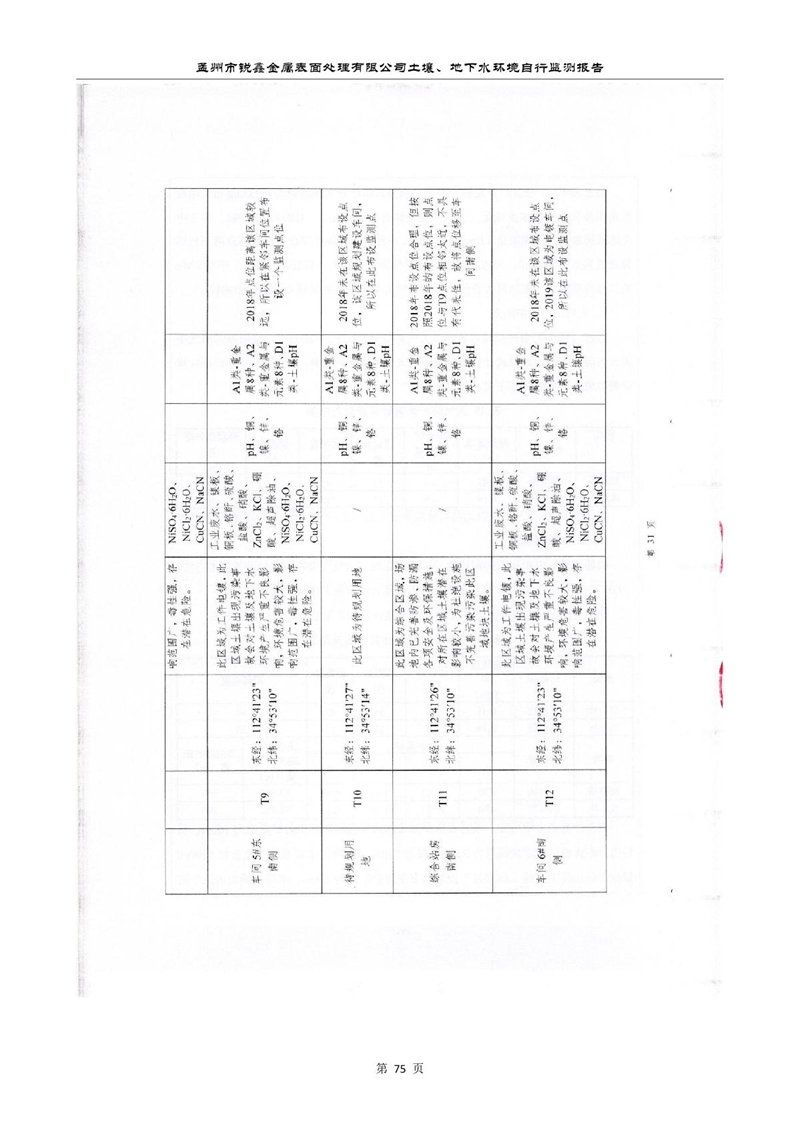 孟州市銳鑫金屬表面處理有限公司自行監(jiān)測報告_79.JPG